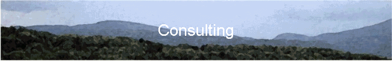 Consulting